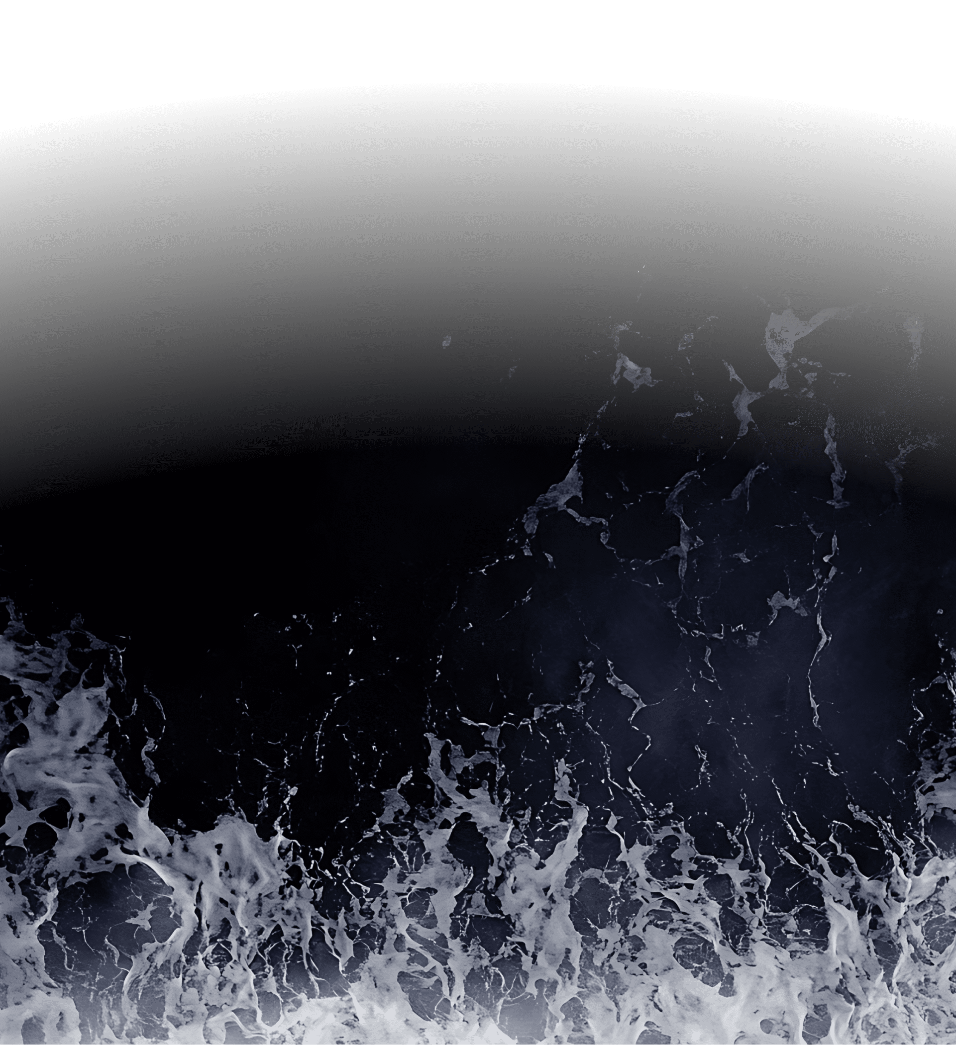 Dolphin Cargo Service