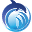 Dolphin Cargo Service