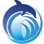 Dolphin Cargo Service